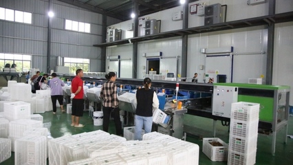 修文縣首個(gè)即食獼猴桃加工中心建成投用，開(kāi)啟獼猴桃產(chǎn)業(yè)發(fā)展新篇章